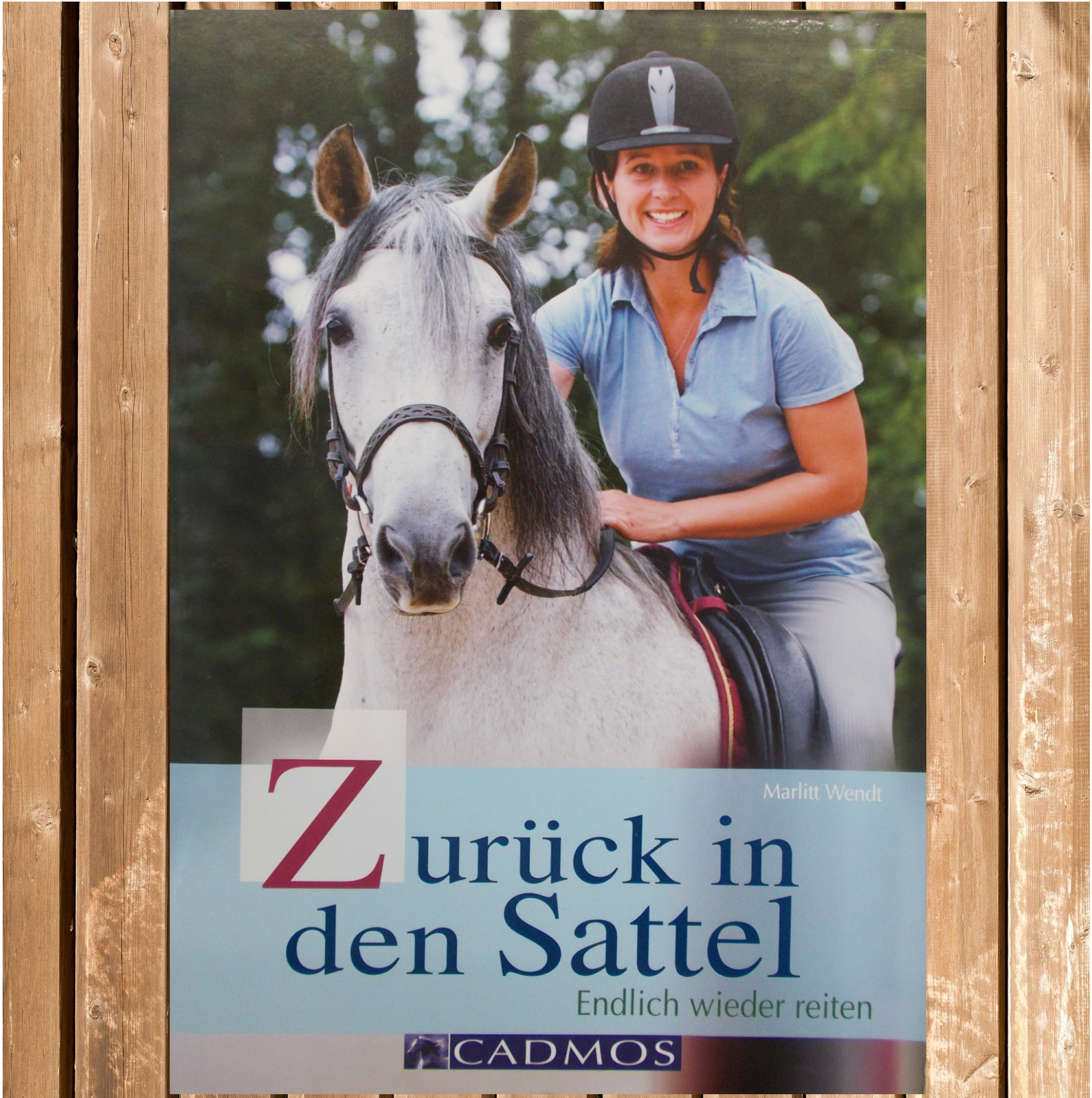 Zurück in den Sattel- Endlich wieder reiten